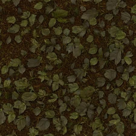 25852-3259023395-texture, leaves, nature, forest, ground, outdoors, mud, earth.png